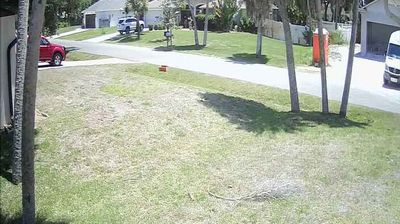 Venice: South - Webcam