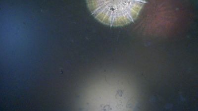 Вязовская волость › Est: Московская область г.Монино проходная в военный городок