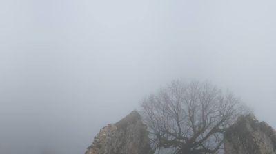 Benkendorf: Pfronten - Boutique Hotel Blaue Burg Falkenstein