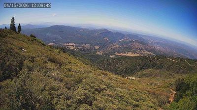 La Jolla Amago: Κομητεία Σαν Ντιέγκο