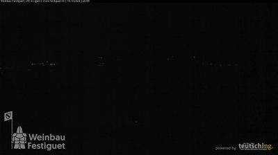 Webcam Ligerz: Lake Biel - St. Peter's Island