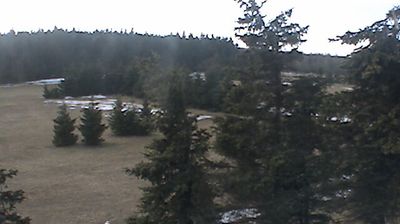 Osek: Dlouha Louka: Osek