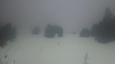 Gemeinde Brand: Bergbahnen Brandnertal Gesellschaft m.b.H.