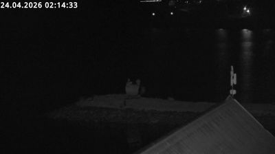 Skjolden: Fanaråken