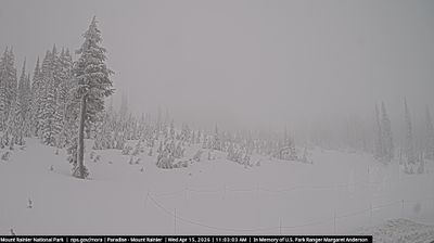 Paradise: Όρος Ρενιέρ