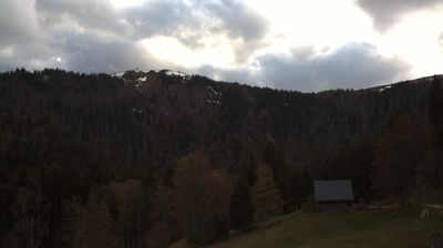 Live webcam in Feldberg, Alemanya