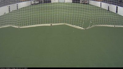 St. Peter: West mall construction (looking East)