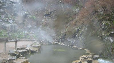 Yamanouchi: Japanese Macaque (snow monkey) in hot spring at Jigokudani Monkey park in Japan