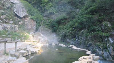 Yamanouchi: Japanese Macaque (snow monkey) in hot spring at Jigokudani Monkey park in Japan