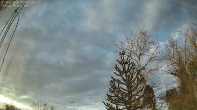 Ferrières-sur-Sichon: Meteo-Cheval-Rigon Skycam