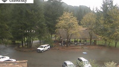 Live webcam in Rainbow, Stany Zjednoczone