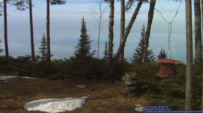 Live webcam in Unorganized North Algoma, ประเทศแคนาดา