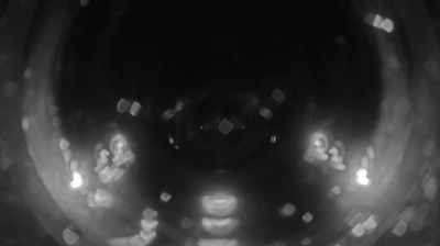 کوشیموتو: Wakayama - Marin Park