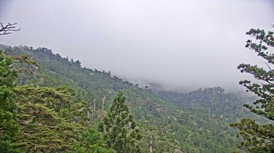 Live webcam in Yakushima, Japão