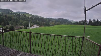 Schonengrund › South-west: Wald
