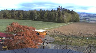 Weinfelden: Stelzenhof