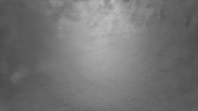 Birkenfeld: Badeteich Campingpark Waldwiesen