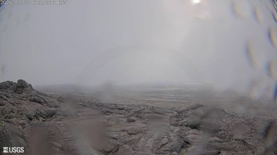 Live webcam in Fern Forest CDP, United States