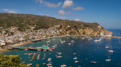 Avalon: Catalina Island - Bay Cam