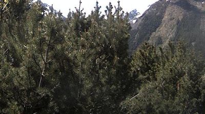 Live webcam in Cogne, Italien