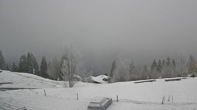 Brienz › North: Axalp
