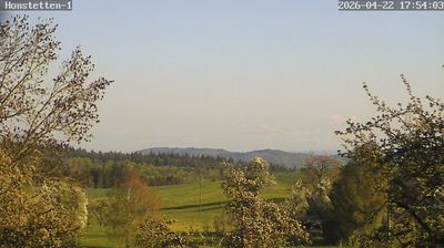 Live webcam in Honstetten, آلمان