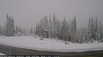 Paradise: Tatoosh Range