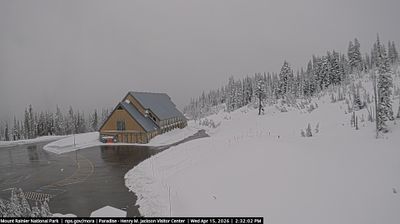 Live webcam in Paradise, Združene države Amerike