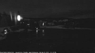 Live webcam in Paradise, Estats Units d'Amèrica