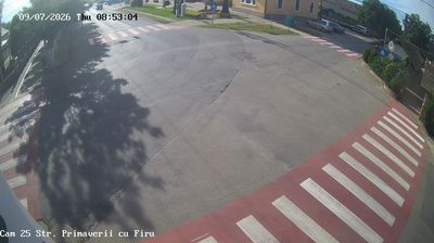 Chișoda: Timis