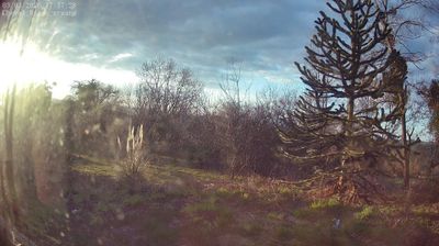 Ferrières-sur-Sichon: Cheval Rigon groundcam