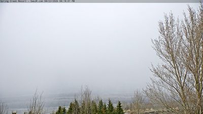 Live webcam in Jackson, Estats Units d'Amèrica