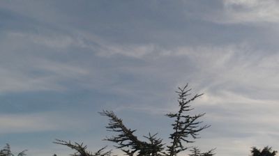 Saint-Chamond: église Saint-Martin-en-Coailleux