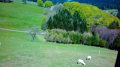 Live webcam in Wolfach, Alemanya