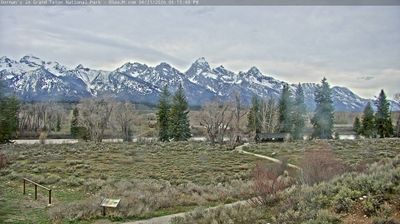 Moose › North-west: Snake River Angler - Buck Mountain - The Wall