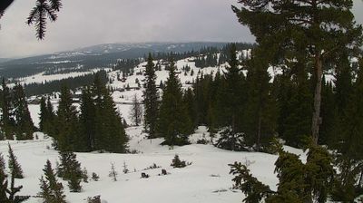 Nakkerud: Buvatn - Norway, Buskerud: Lake