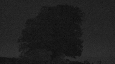Webcam Bozberg: Buntacher › North-east: the Lime Tree at Linn