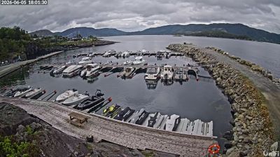Live webcam in Hervik, Norge