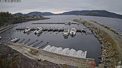 Hervik › South: Camping havn