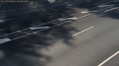 Paimio: Tie110 Kurjenmaki - Tienpinta
