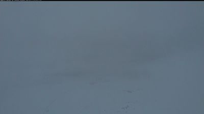 Ny-Alesund › Nord-est: Kongsfjorden