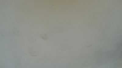 Susa: Cresta del Vento