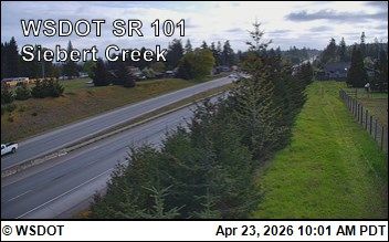 پورت آنجلس › North: US 101 at MP 256: Siebert Creek