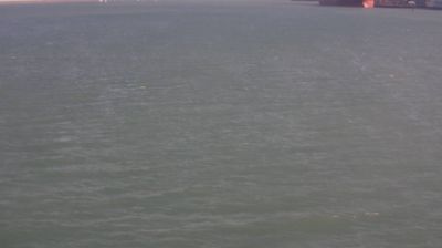 Live webcam in Nelson, Uus-Meremaa