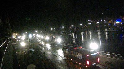 Cochem: Moselpromenade