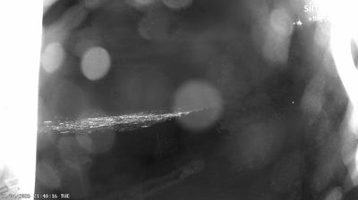 Willow Canyon › West: Mount Bigelow West