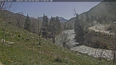 Live webcam in Jackson, Estats Units d'Amèrica