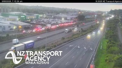 Live webcam in Puketapapa, Nowa Zelandia