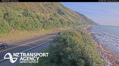 Live webcam in Паекакарики, Новая Зеландия