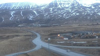 Reykjavík: Leirvogstungumelar